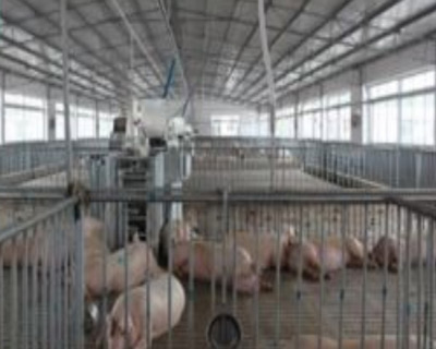 饲养厂污水糖心视频免费看