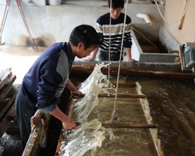 造纸糖心视频免费看