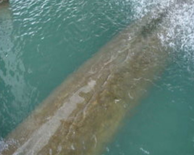 循环水糖心视频免费看