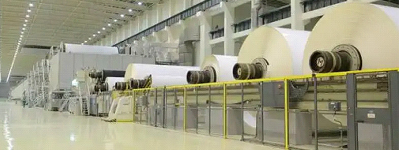 造纸糖心视频免费看