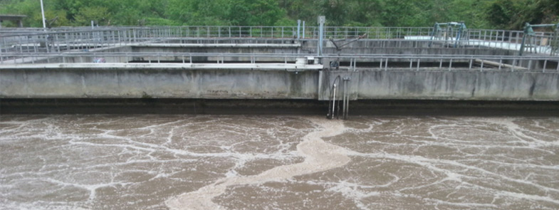 养殖污水糖心视频免费看