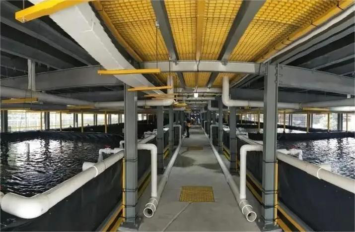 循环水糖心视频免费看