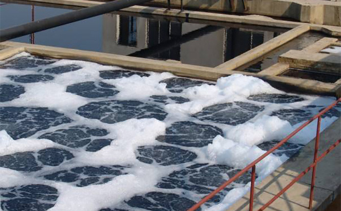 废水糖心视频免费看