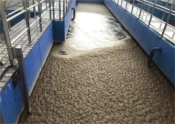 水处理糖心视频免费看