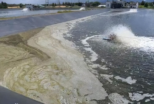 水池糖心视频免费看